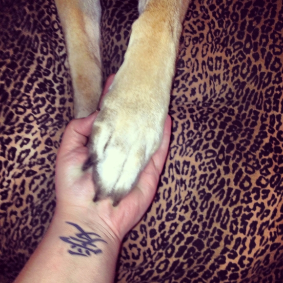 Meet your Posher, Kate - Picture 1 of 1